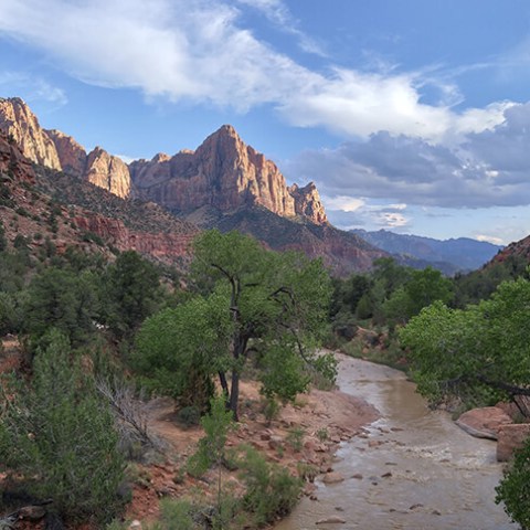 a canyon with Zion National Park in the background