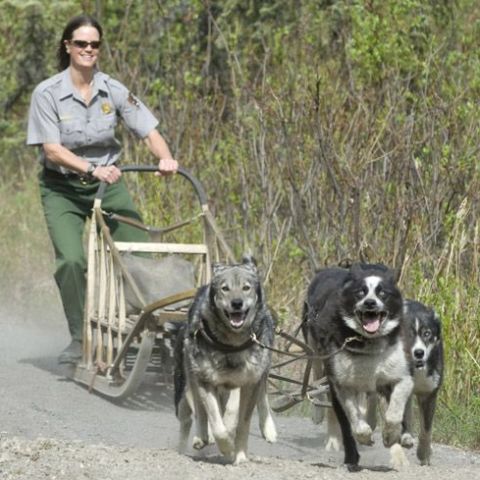 a man standing next to a dog