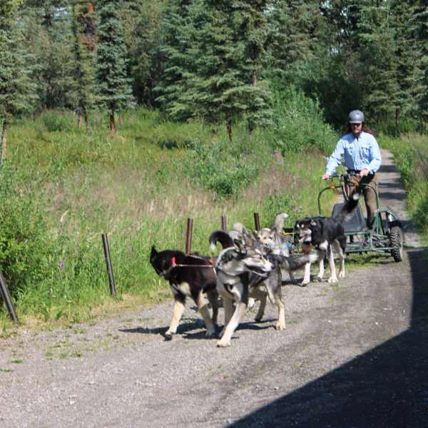 a group of people riding horses on a dirt road