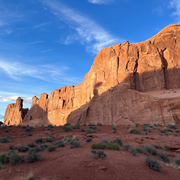 a canyon with Capitol Reef National Park in the background