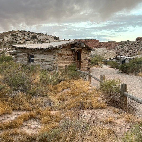 a castle on top of a grass covered field