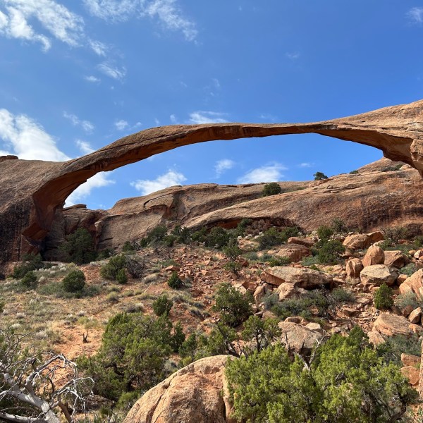 a close up of a rock