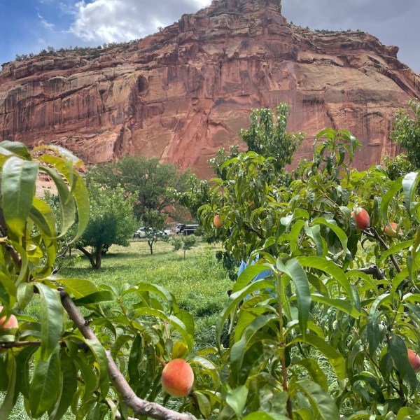 a green apple on top of a mountain