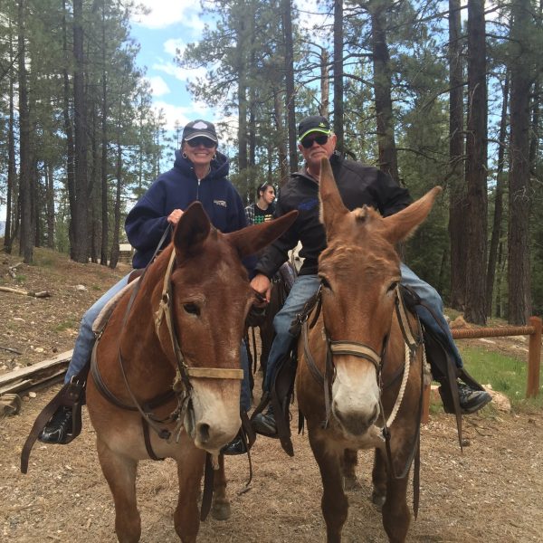 a man riding a horse in a forest