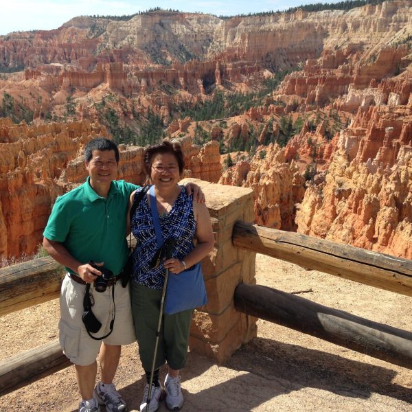 a person standing in front of a canyon