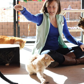 a woman petting a cat and a dog sitting on a bench