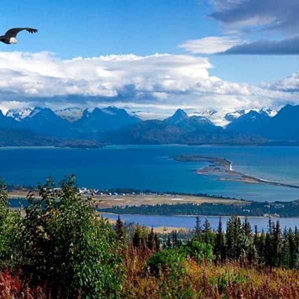 a bird flying over a body of water with a mountain in the background